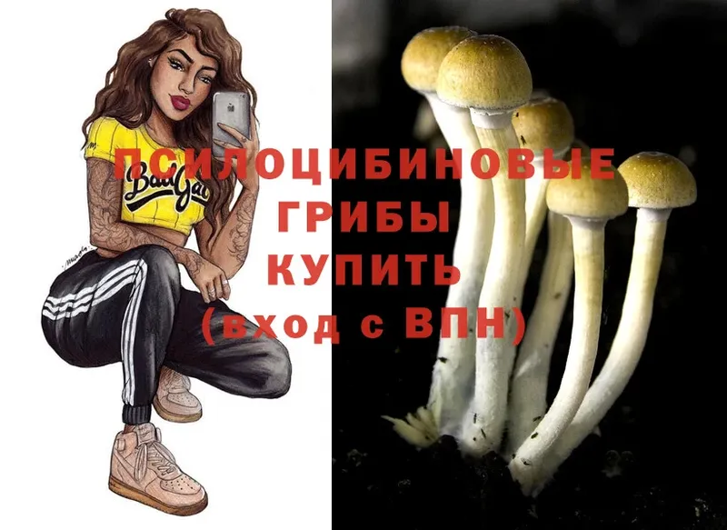 Псилоцибиновые грибы Magic Shrooms  Калач 